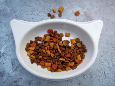 Food that is being fed to a cat with possible kidney disease.